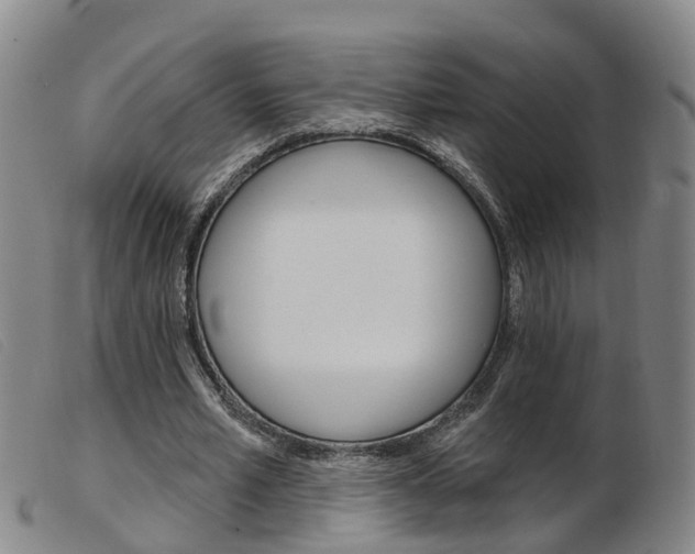 X0000103950581200809191213