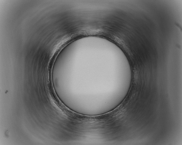 X0000103950582200809191213