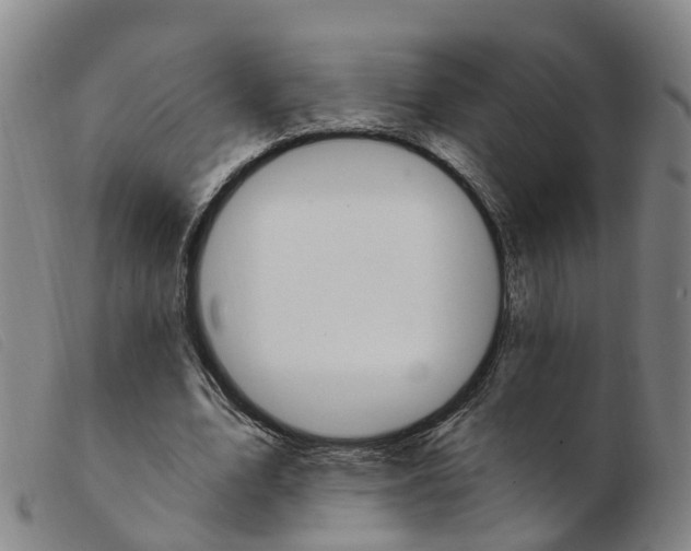 X0000103950583200809191213