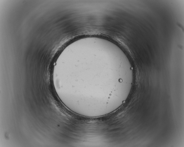 X0000103950584200809191213