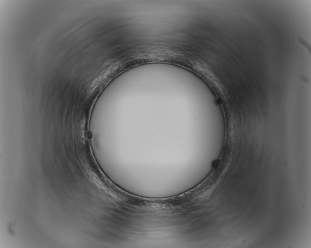X0000103950585200809191213
