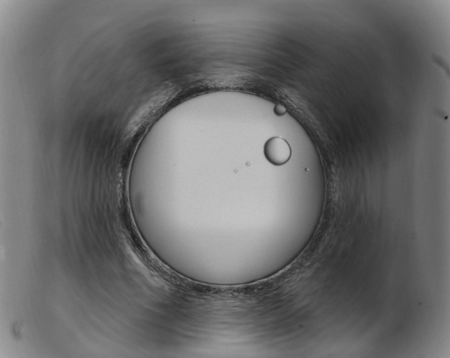 X0000103950586200809191213