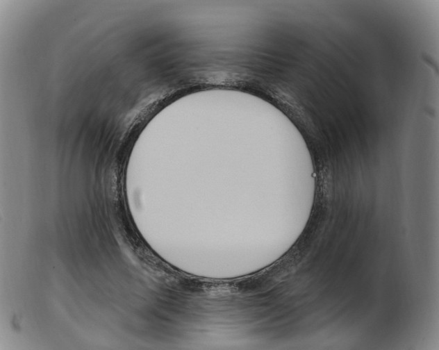 X0000103950587200809191213