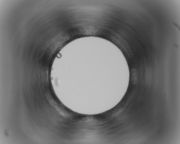 X0000103950589200809191213