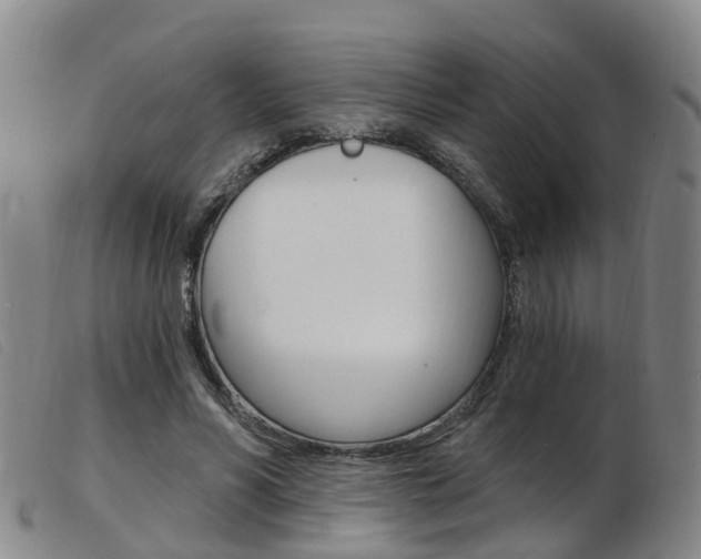 X0000103950590200809191212