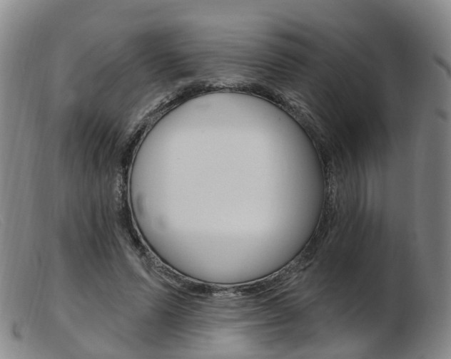 X0000103950591200809191212