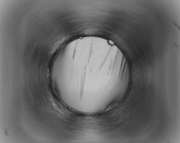 X0000103950592200809191212