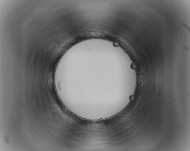 X0000103950593200809191212