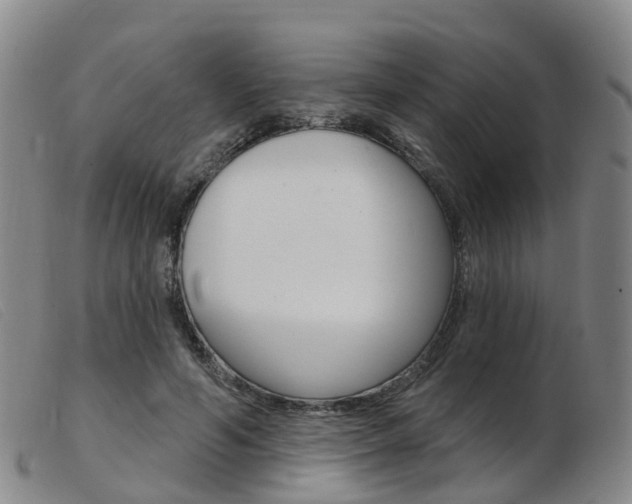 X0000103950594200809191212