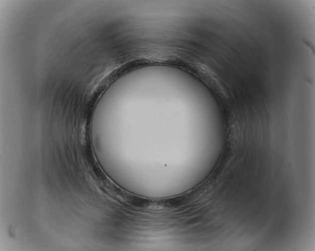 X0000103950596200809191212