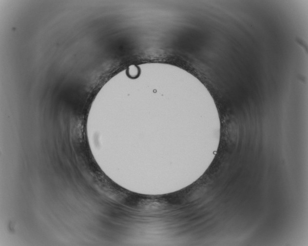 X0000103950597200809191212