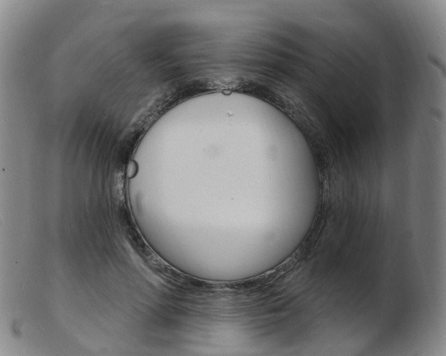 X0000103950598200809191212
