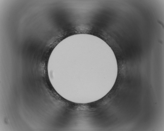 X0000103950599200809191212