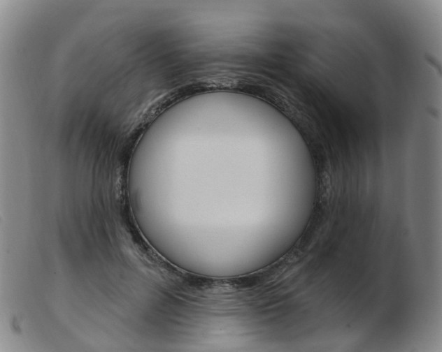 X0000103950600200809191212
