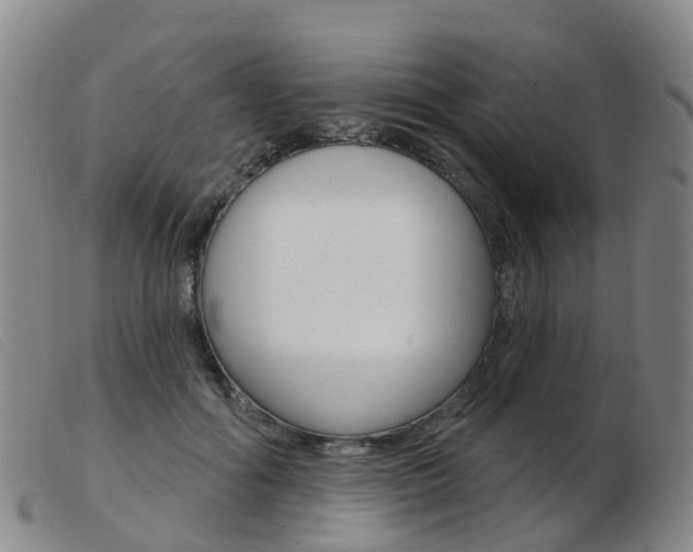 X0000103950602200809191212