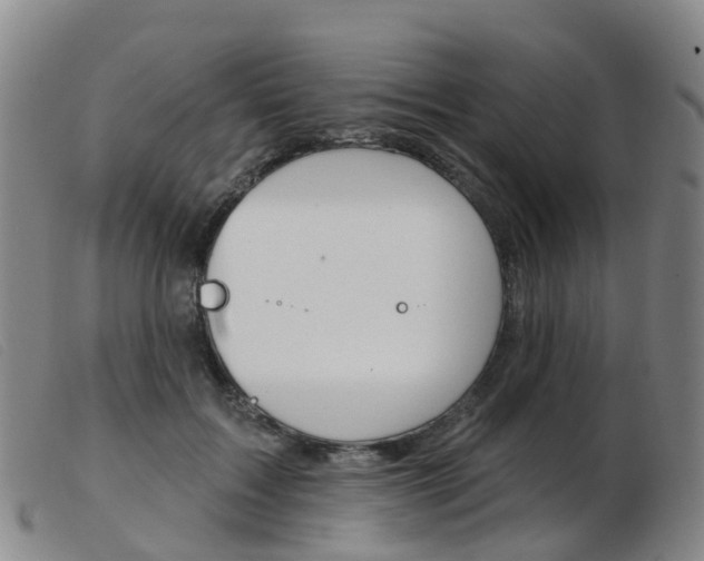 X0000103950603200809191212