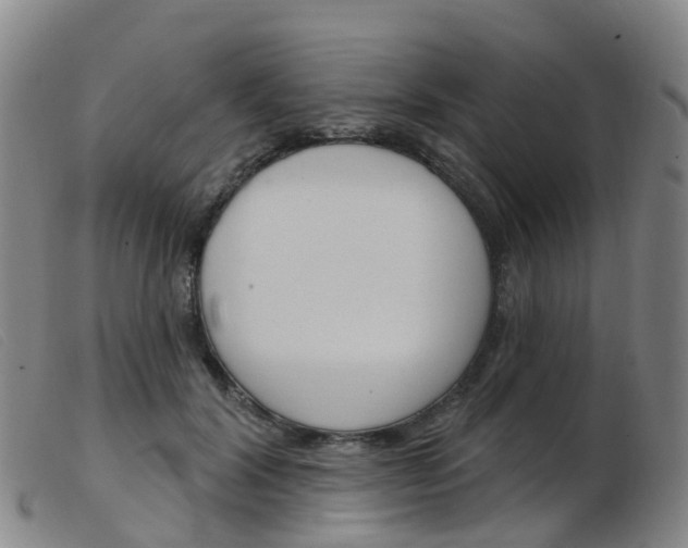 X0000103950604200809191212
