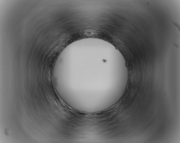 X0000103950606200809191212