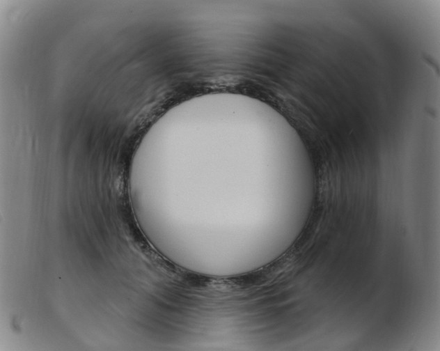 X0000103950608200809191212