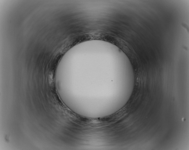 X0000103950610200809191212