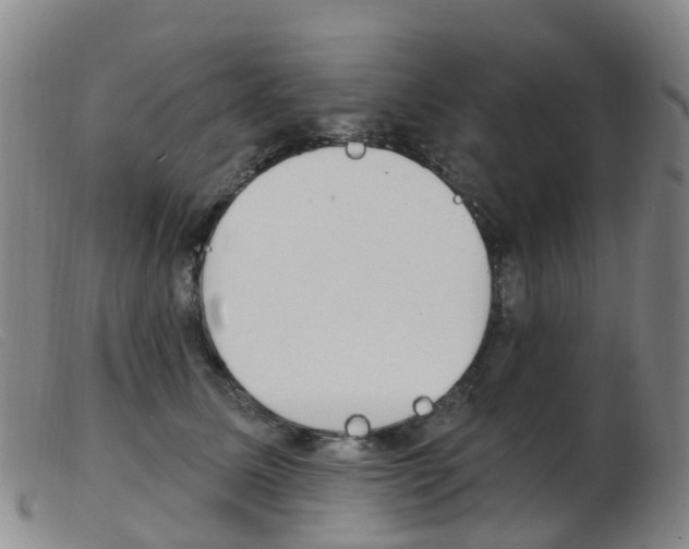 X0000103950611200809191212