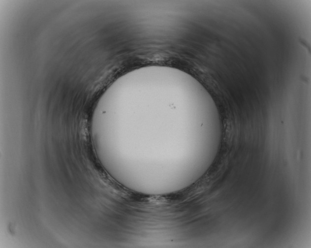 X0000103950612200809191212