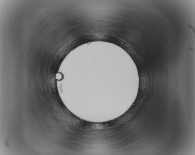 X0000103950613200809191212