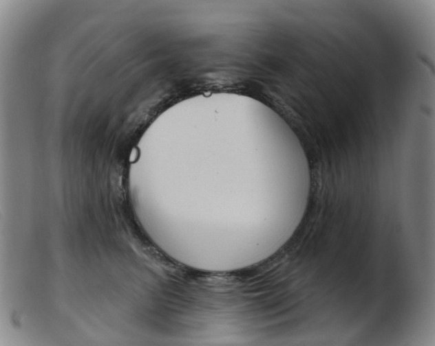 X0000103950615200809191212