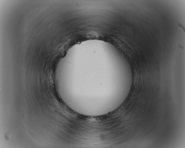 X0000103950616200809191212