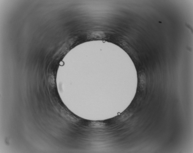 X0000103950617200809191212