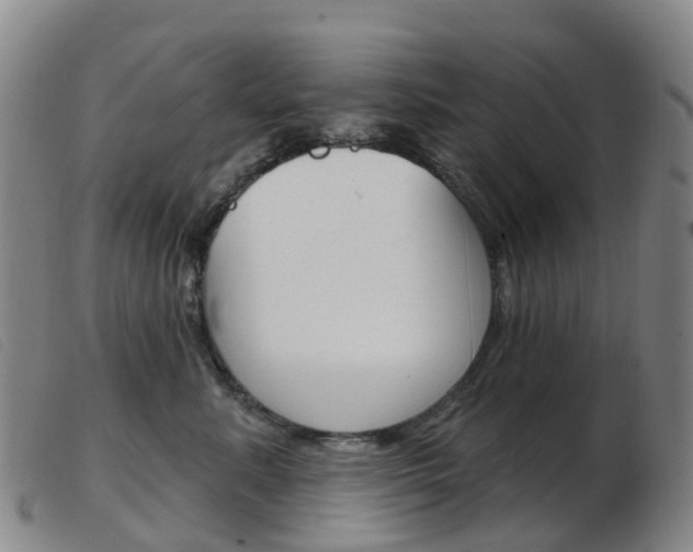 X0000103950619200809191212