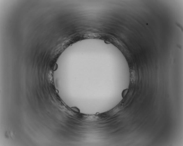 X0000103950621200809191212
