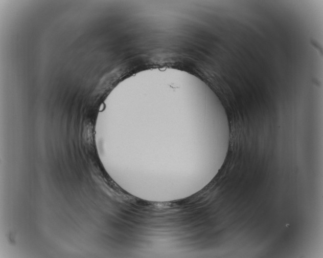 X0000103950623200809191212