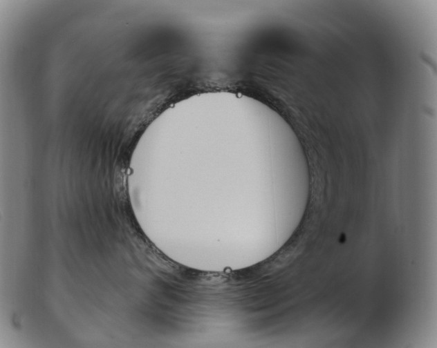 X0000103950624200809191212