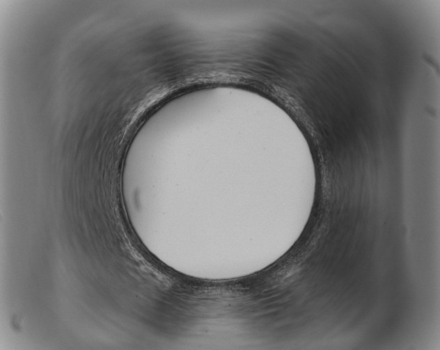 X0000103950625200809191211