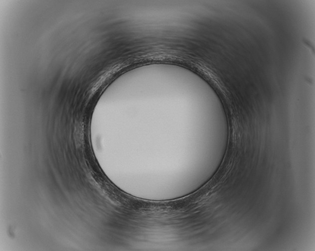 X0000103950626200809191211