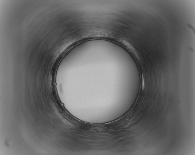 X0000103950627200809191211