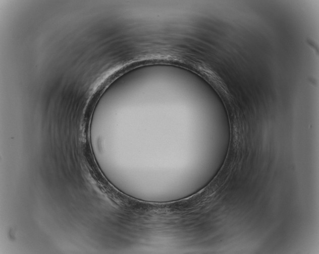 X0000103950628200809191211
