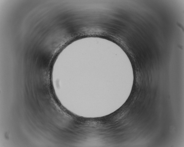 X0000103950629200809191211