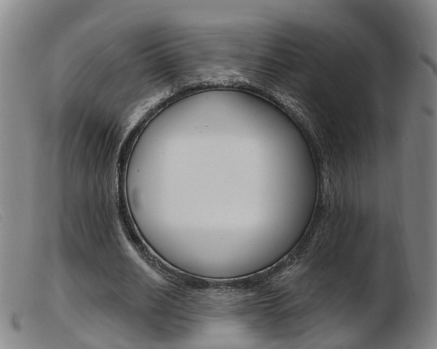 X0000103950630200809191211