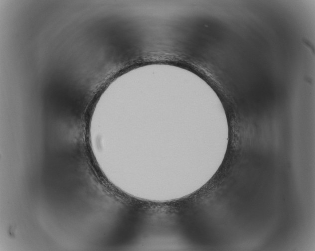 X0000103950631200809191211