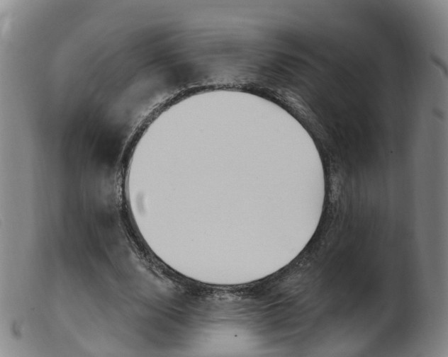X0000103950632200809191211