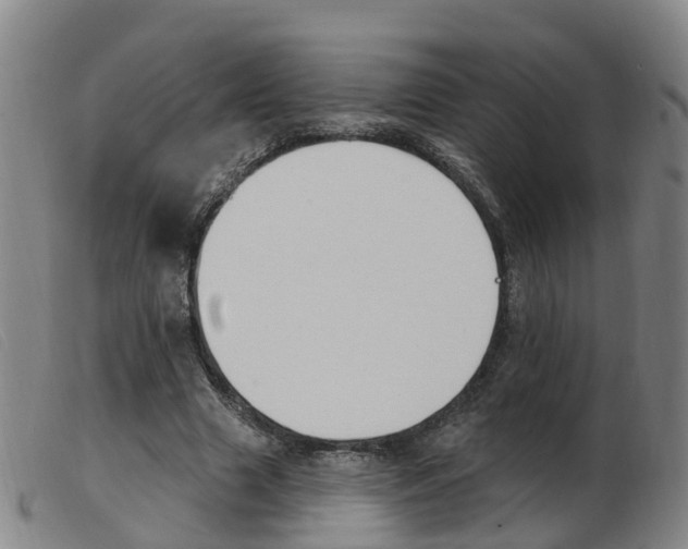 X0000103950633200809191211