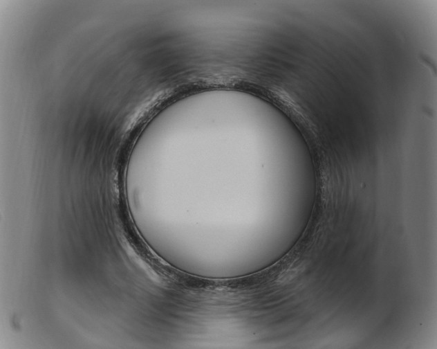 X0000103950634200809191211