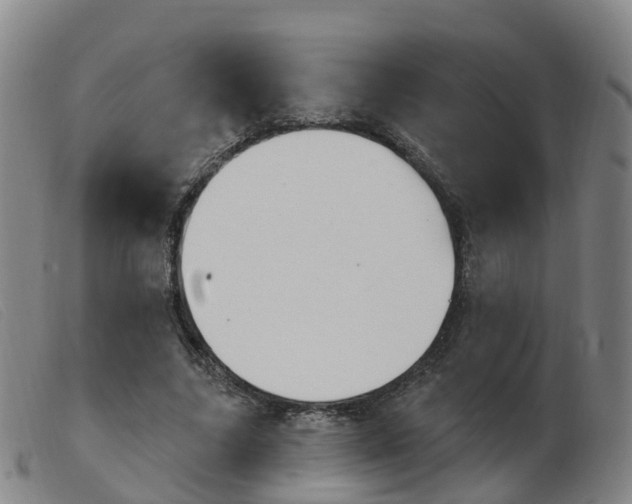 X0000103950635200809191211