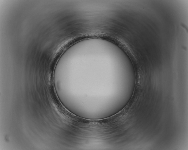 X0000103950636200809191211