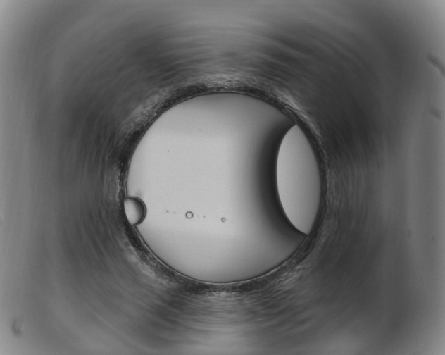 X0000103950637200809191211