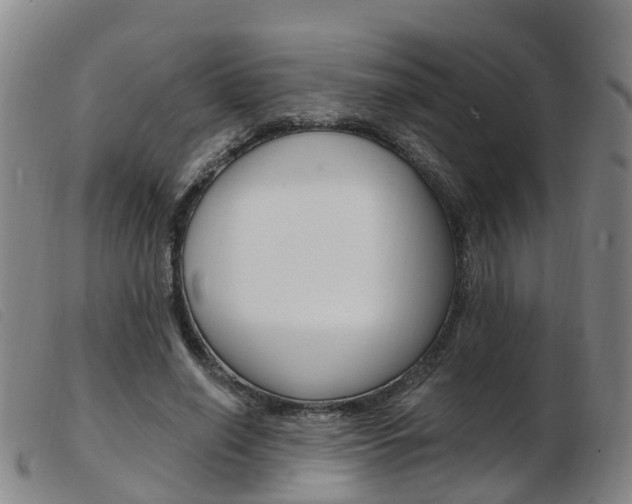 X0000103950638200809191211