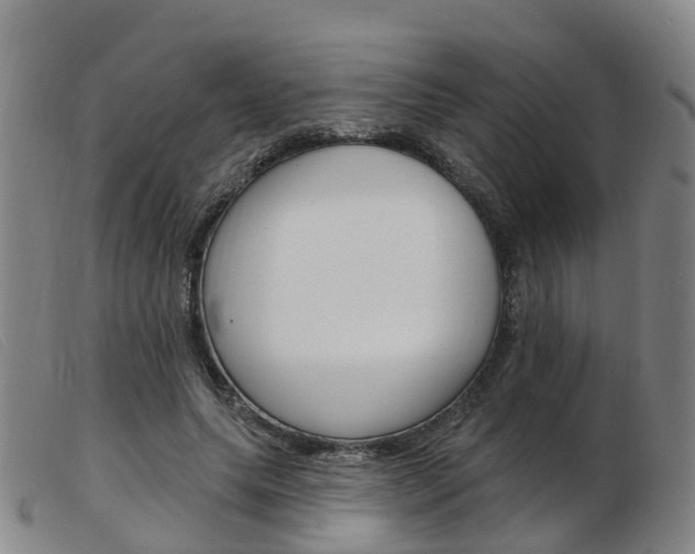 X0000103950639200809191211