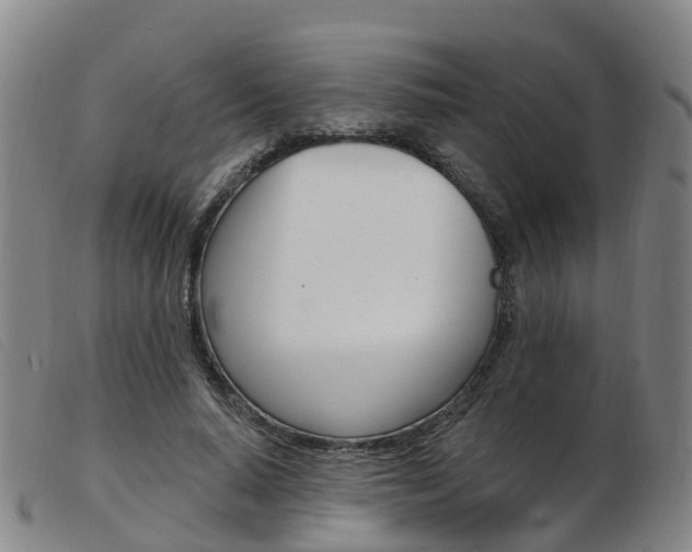 X0000103950640200809191211